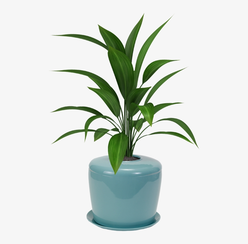 Bonsai Urn Ceramic Cremation Urn For A Bonsai Tree - Plant With White Background, transparent png #926598
