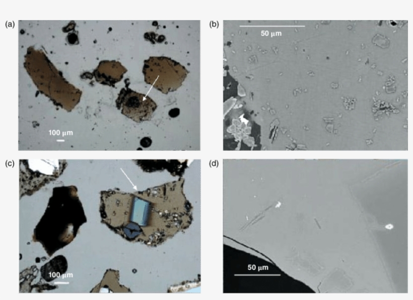 12 Photomicrographs And Scanning Electron Microscope - Scanning Electron Glass Shards Microscope, transparent png #927322