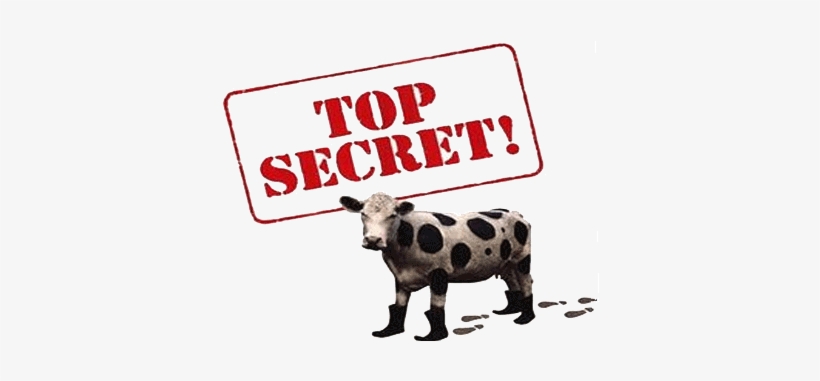 Secret Cow - Top Secret Cow Boots, transparent png #927979