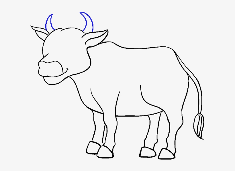 Collection Of Free Cows Drawing - Cow Drawing, transparent png #927999