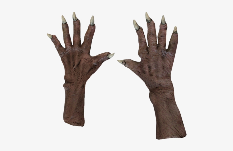 Ghoul Zombie Hands Gloves- Deluxe - Ghoul Gloves, transparent png #928714