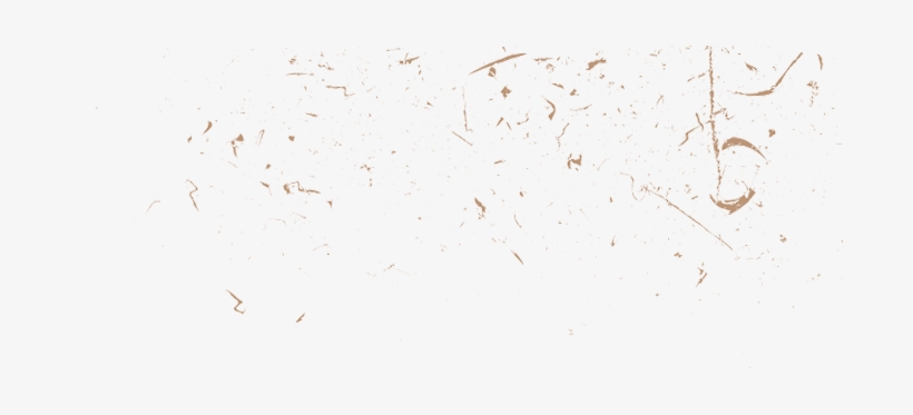 Left Dirt - Insect, transparent png #928739