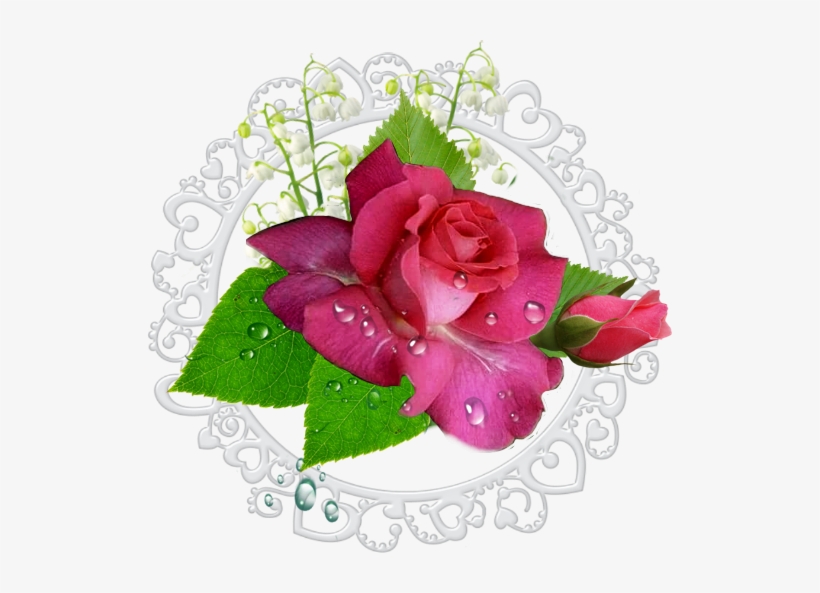 Feuille Verte Goutte D Eau, transparent png #929835