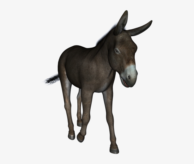 Donkey Free Png Transparent Background Images Free - You Re An Ass, transparent png #9200726