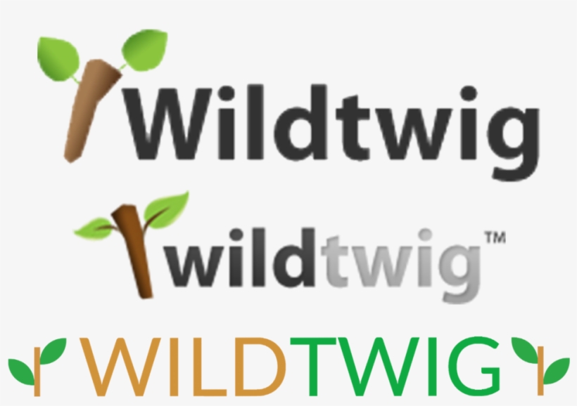 History & Experience - Tebowing, transparent png #9201529