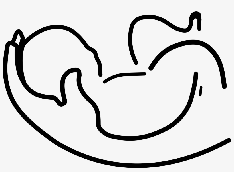 Baby Logo Black And White - Line Art, transparent png #9202425