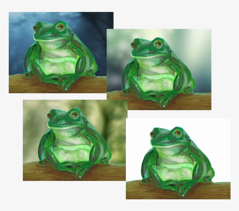Background Changes - Green-eyed Tree Frog, transparent png #9203144