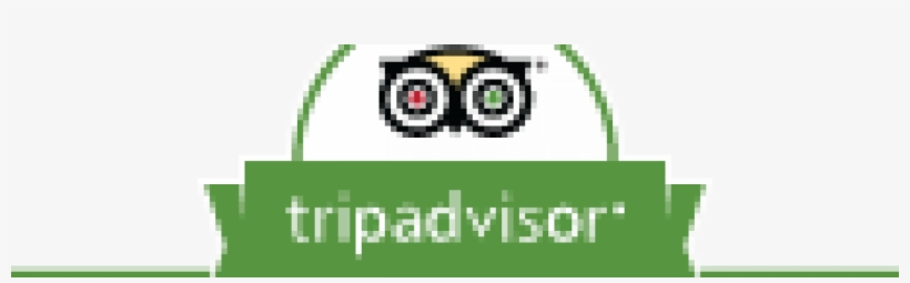 Trip Advisor Png - Tripadvisor Excellence Award 2018, transparent png #9203680