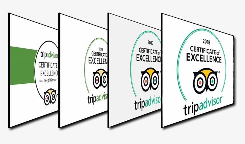 Tripadvisor Certificate Of Excellence 2015 • 2016 • - Cartoon, transparent png #9203751
