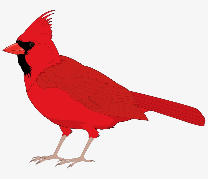 Cute Flying Sitting Free Birds Design Clip - Clip Art Red Cardinal, transparent png #9203756
