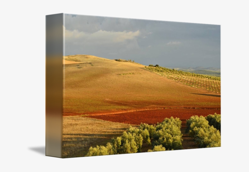 "evening Fields" By Marek Stepan, Malaga Spain - Painting, transparent png #9203910