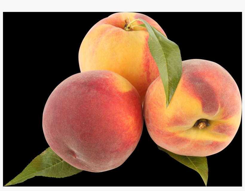 The Peach Is A Deciduous Tree - Portable Network Graphics, transparent png #9204791