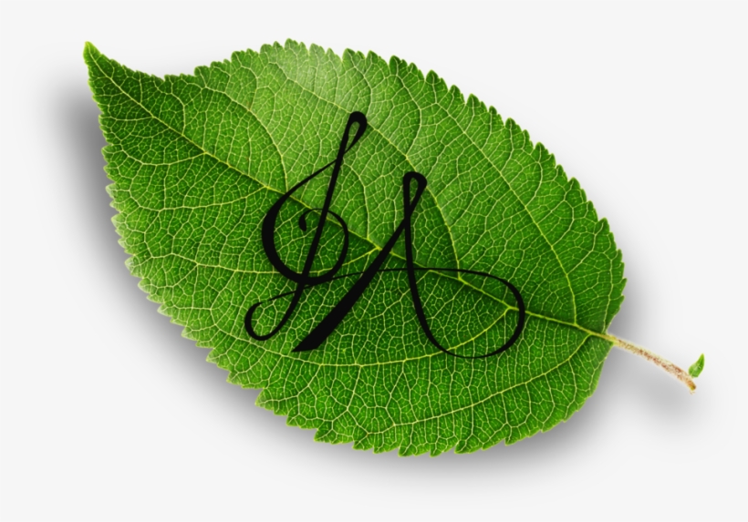 Watermark Hd No Background - Twig, transparent png #9204887