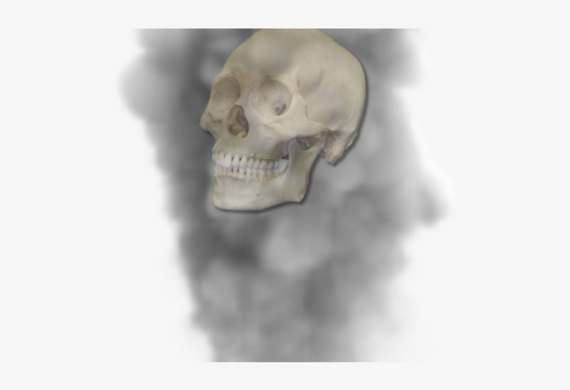 Drawn Smoking Smoke Puff - Skull, transparent png #9205103