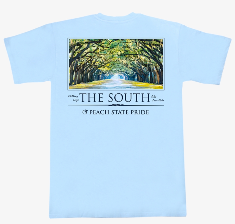 Boardwalk, transparent png #9205449