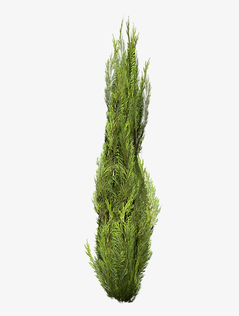 Portable Network Graphics, transparent png #9205813