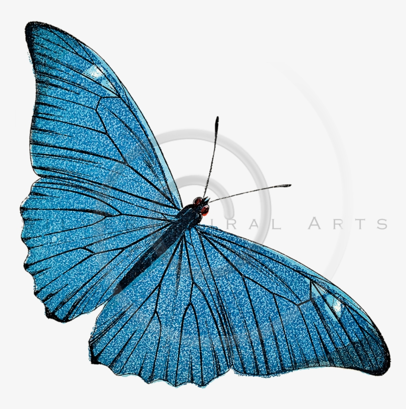 Silver Spiral Arts, transparent png #9206178