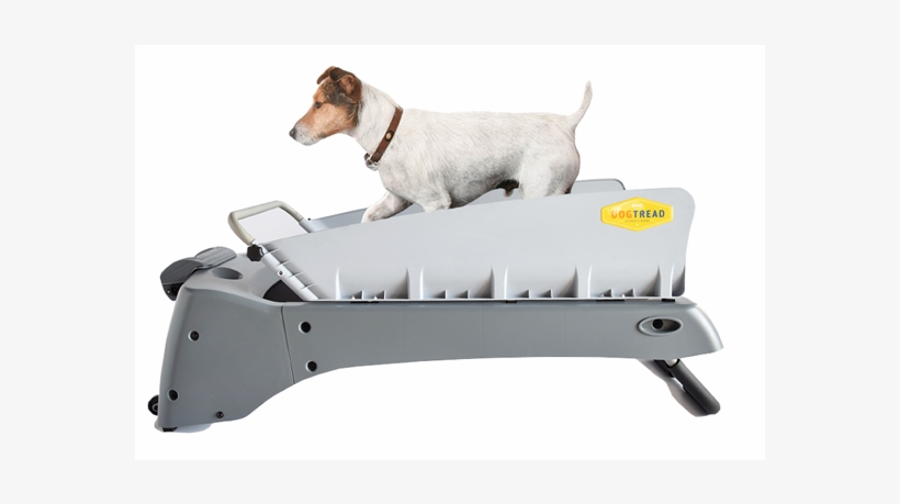 Dogtreadsideview New Small - Parson Russell Terrier, transparent png #9206858