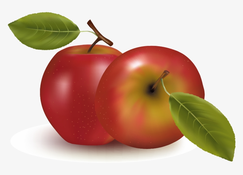 Orange Apple Apricot Cherry Plum Png Images - Fruits Vector, transparent png #9206937