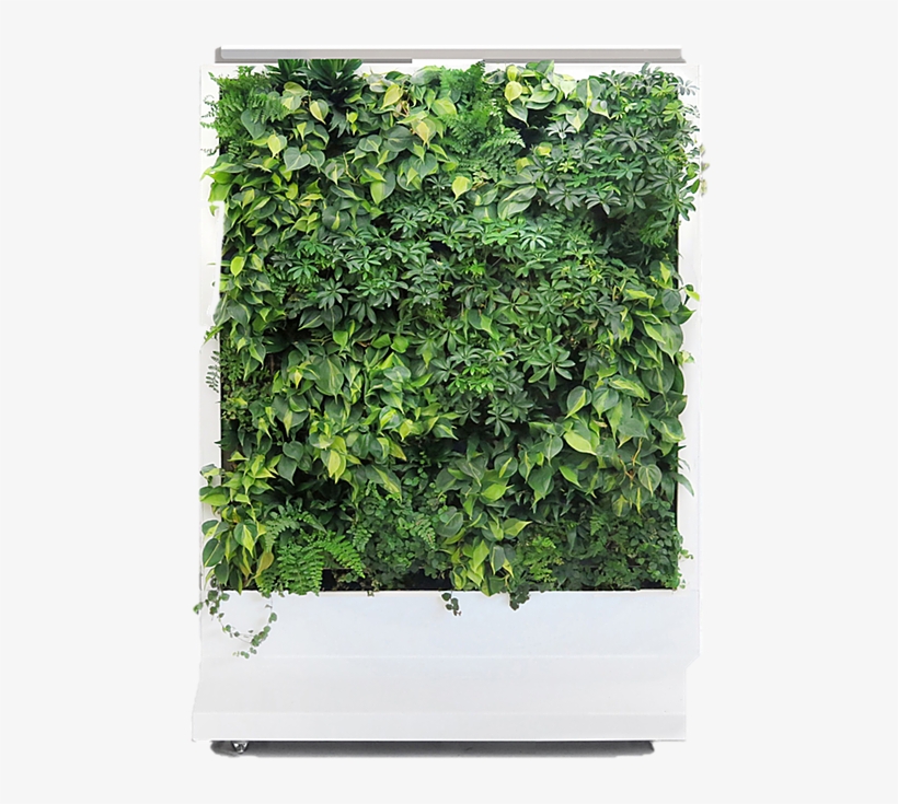 Duet Model - Flowerpot, transparent png #9207151