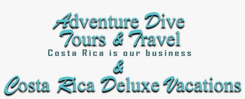 Logo New - Graphic Design, transparent png #9208675