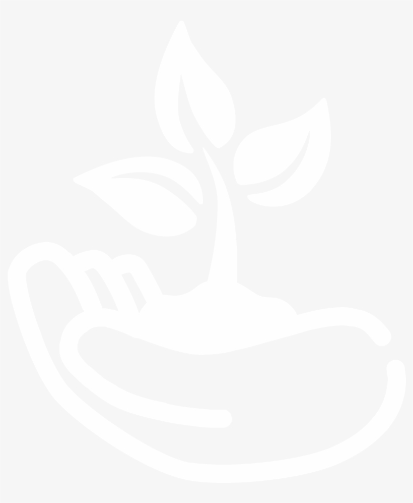 Iot In Mangrove Ecology & Diversity - Still Life Photography, transparent png #9209328