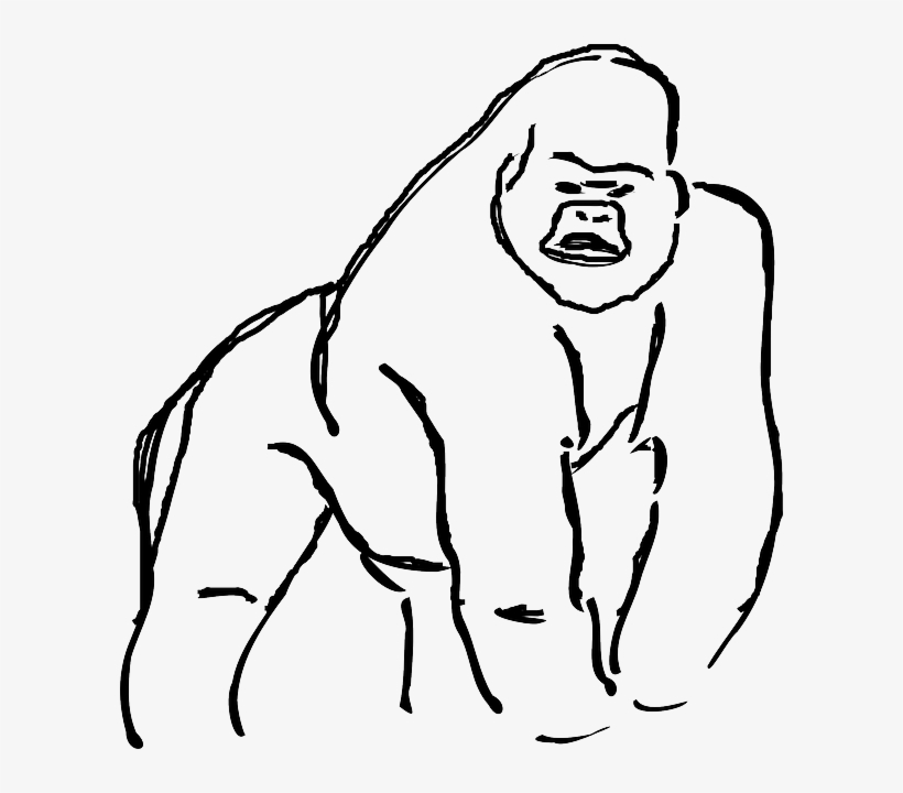Gorilla Clipart Line - Gorilla Line Art, transparent png #9209752