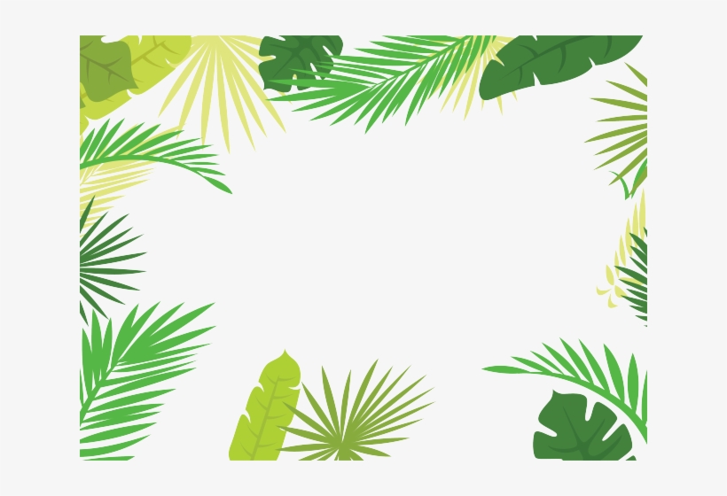 Drawn Branch Leaf Border Png - 棕櫚 葉 素材, transparent png #9213167