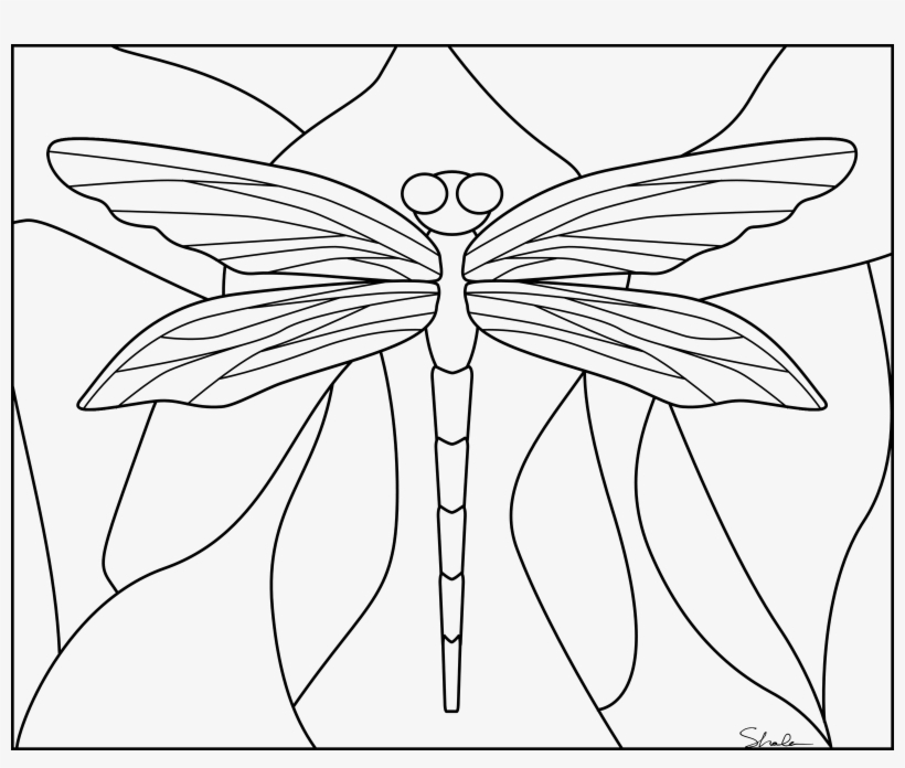 Dragonfly Drawing Coloring - Coloring Book, transparent png #9215296