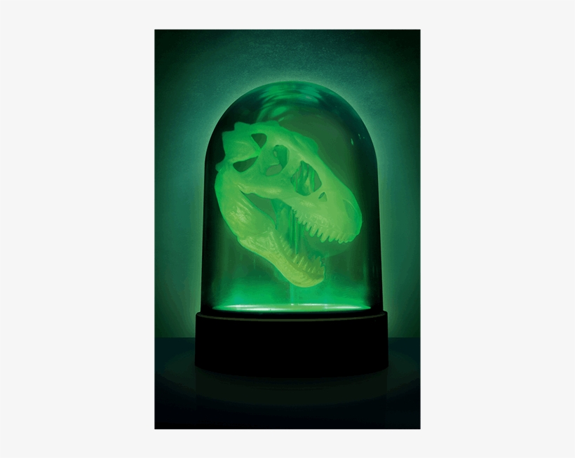 1 Of - Tyrannosaurus, transparent png #9216162