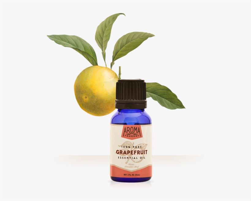 Fruit, transparent png #9216369