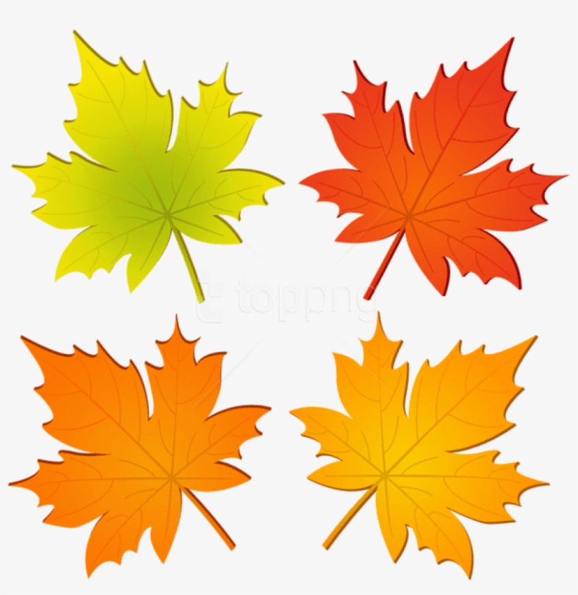 Free Png Set Of Autumn Leaves Png Png Images Transparent - Maple Leaf, transparent png #9217014