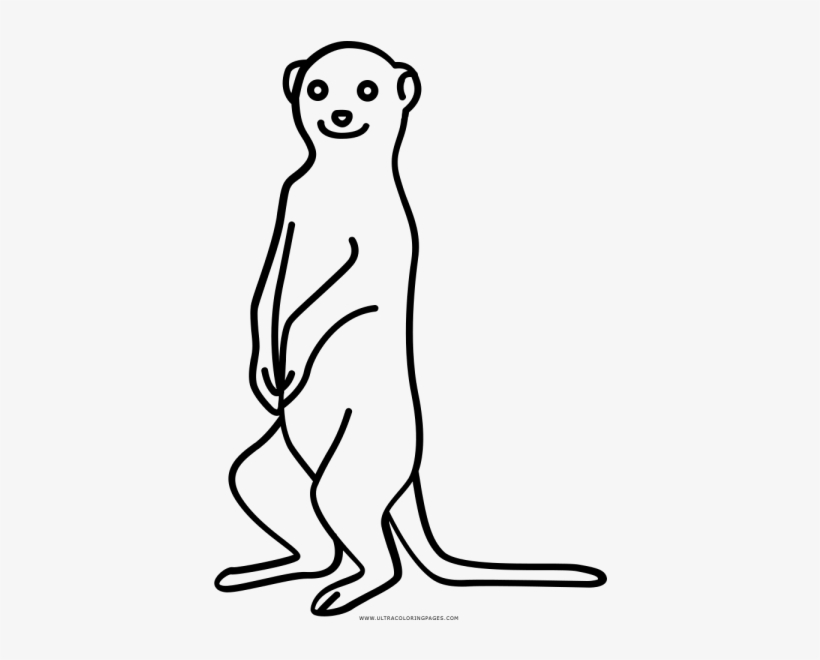 Meerkat Coloring Page - Meerkat Line Drawing, transparent png #9217584