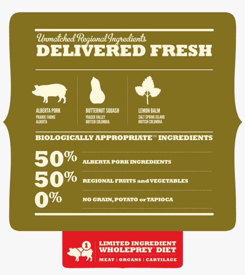 Pork-pear - Illustration, transparent png #9218546