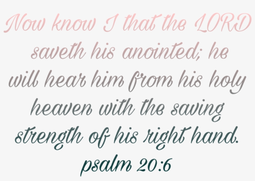 1365 X 1024 3 - Calligraphy, transparent png #9220177