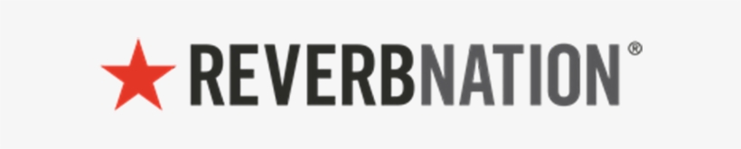 Should Invest In This Form Of Musical Research, Because - Amnesty International, transparent png #9220951