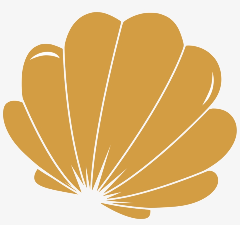 Shell Nereida Lngerie, transparent png #9221834