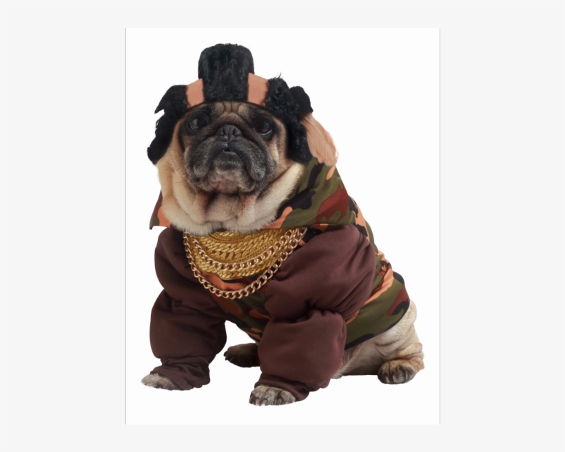 #5 50's Poodle Dress - French Bulldog Fancy Dress, transparent png #9222495