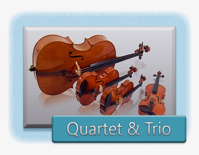 For The Arioso Strings Ensemble You Are Using - String Quartet, transparent png #9223864