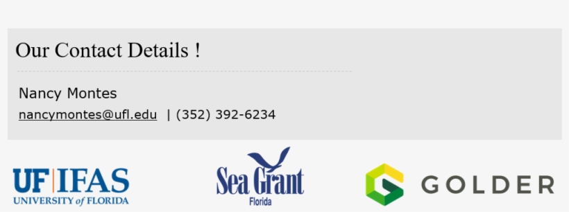 Nancy Montes Nancymontes@ufl - Graphic Design, transparent png #9223992