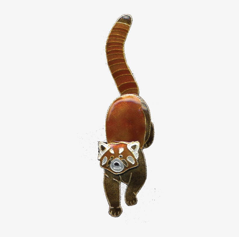 0159pin - Pandas - Red Panda, transparent png #9224530