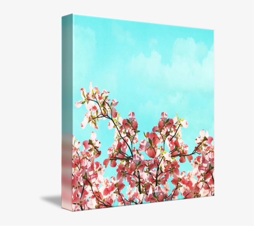 Cherry Blossom, transparent png #9225596