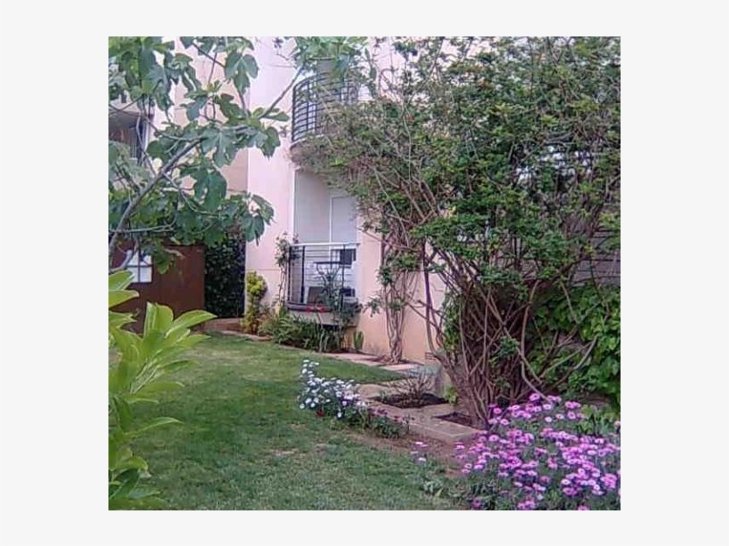 Planta Baja Con Jardin Romantico Home For Exchange - Backyard, transparent png #9226595