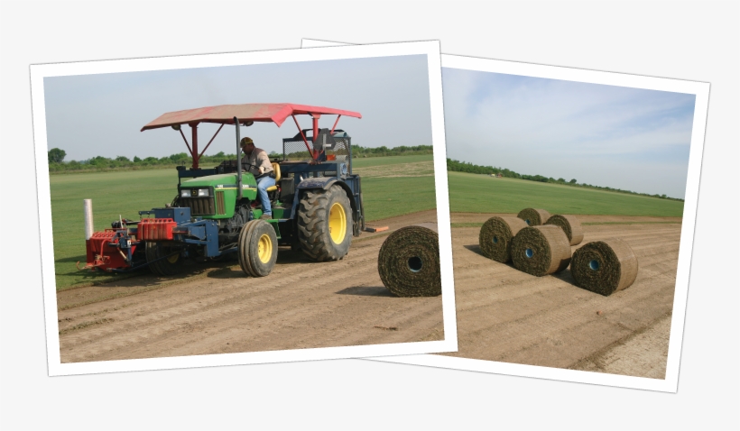 We Supply Sod To Landscapers, Contractors, Sports Facilities, - Tractor, transparent png #9226633