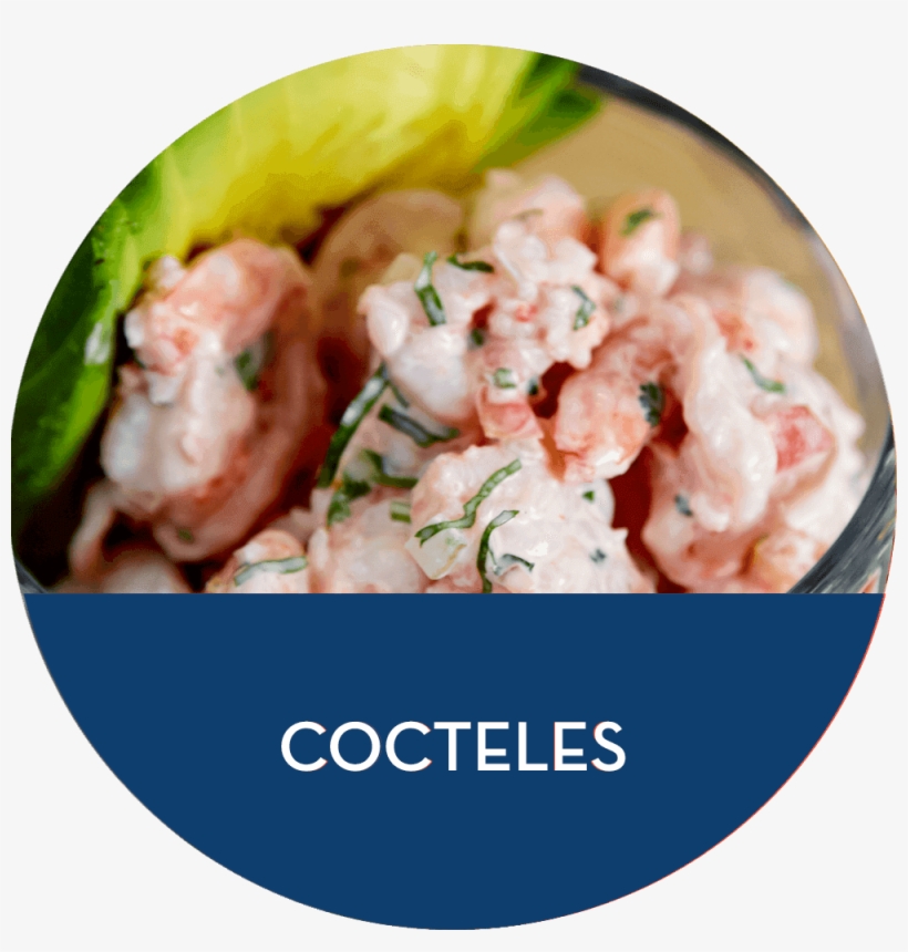 Wordpress Carousel Free Version - Dish, transparent png #9226696