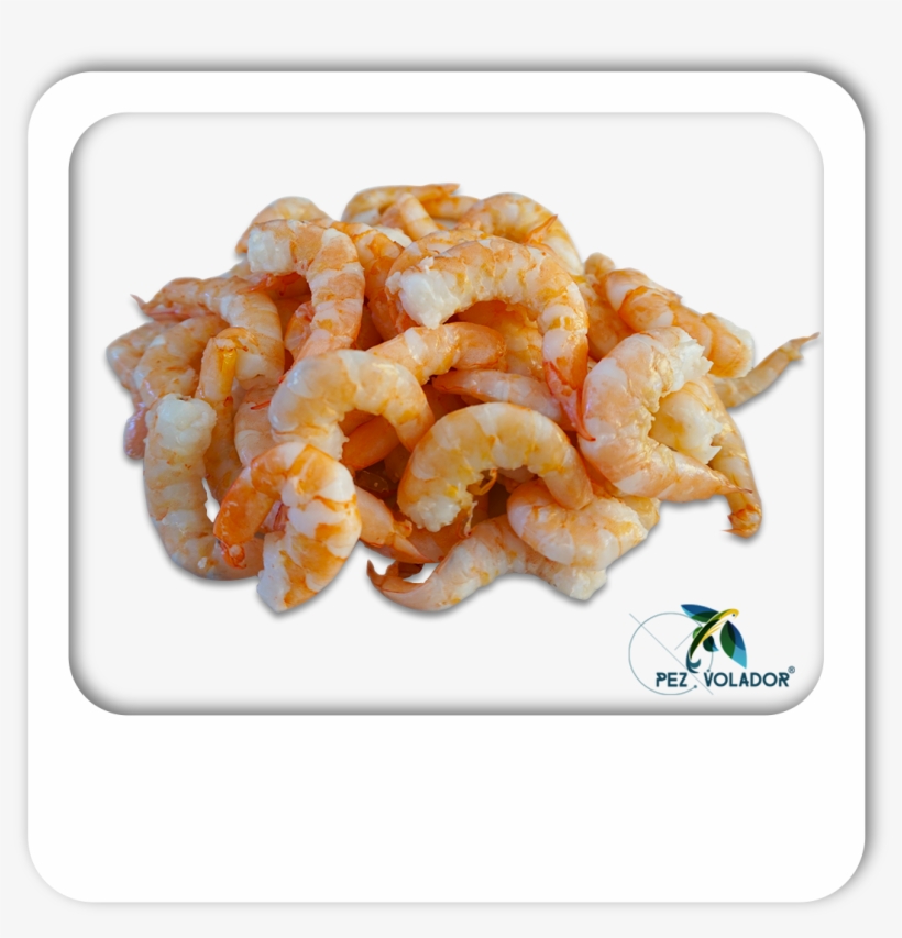 Camarón Pacotilla - Dessert, transparent png #9226704