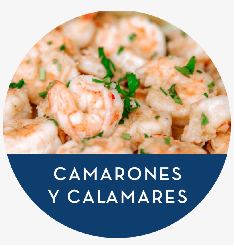 Wordpress Carousel Free Version - Scampi, transparent png #9226771