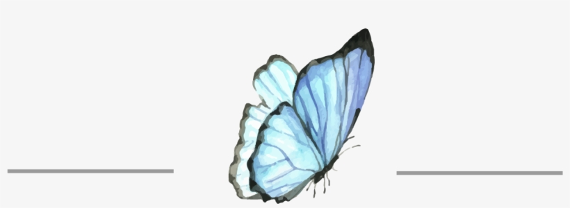 Do Not Hesitate At All About Joining Julia's Spiritual - Adonis Blue, transparent png #9226830