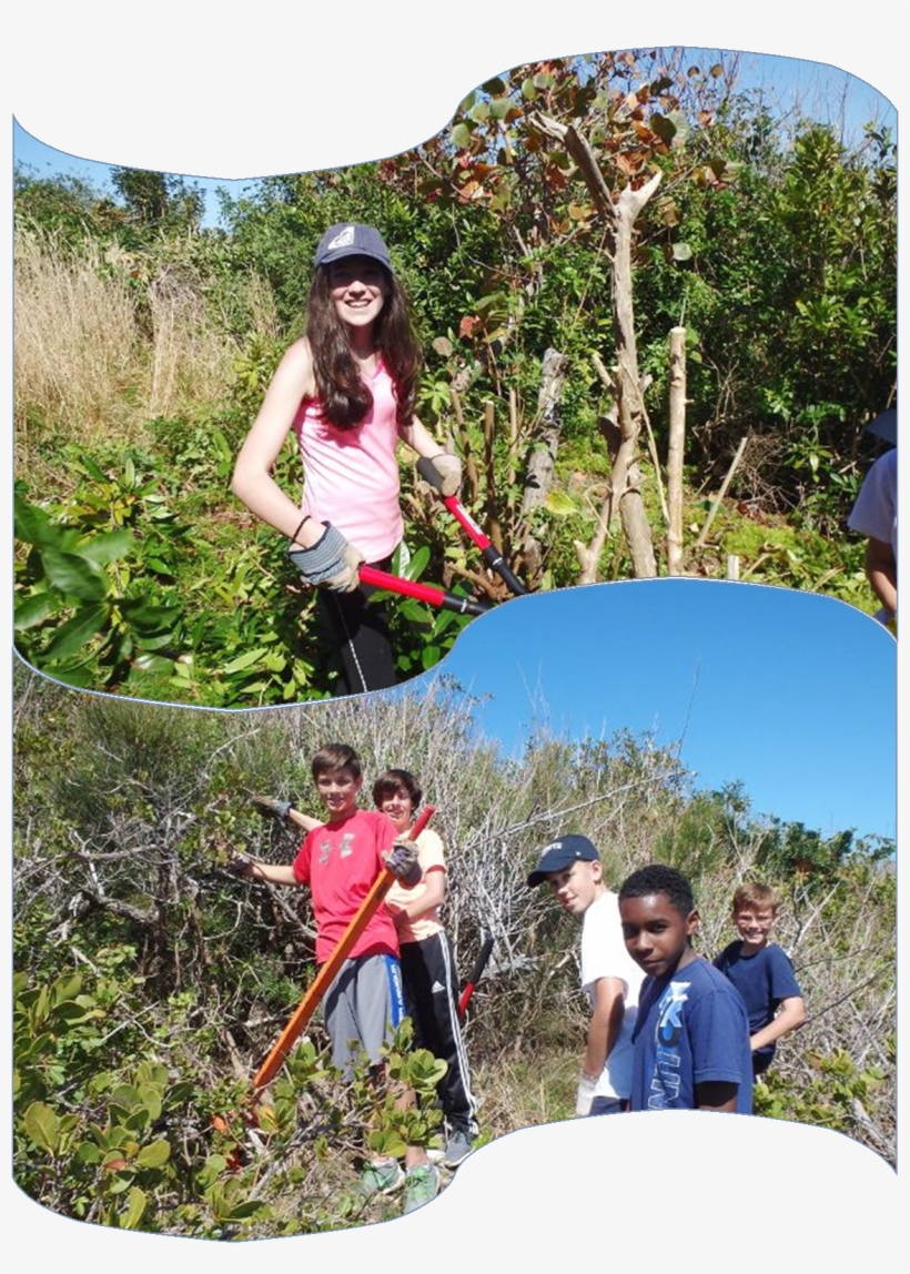 Saltus Island Project Gets Michael Darling Shield - Vacation, transparent png #9227197