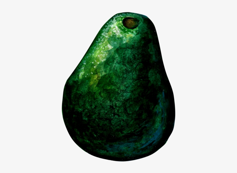 Avocado, transparent png #9229448